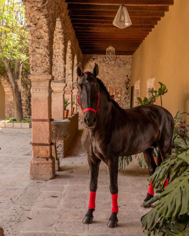 Hacienda Boutique 5* El Salitre